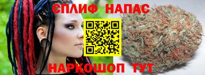 меф Краснознаменск
