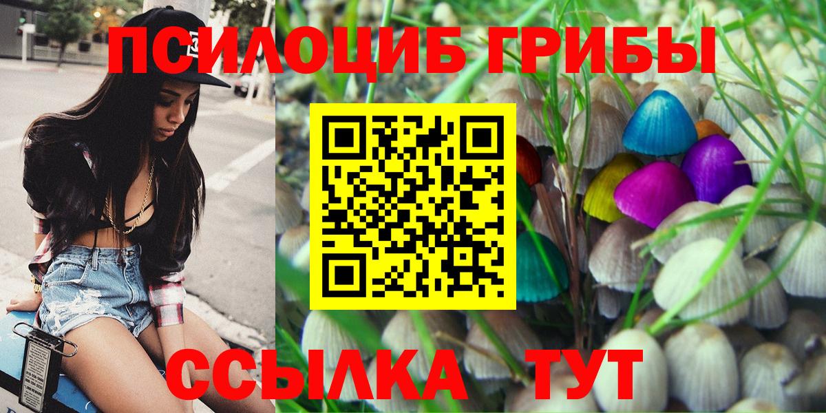 Долгопрудный  Псилоцибиновые грибы ЛСД  где купить   Вход с VPN 